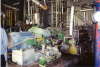 urea0005